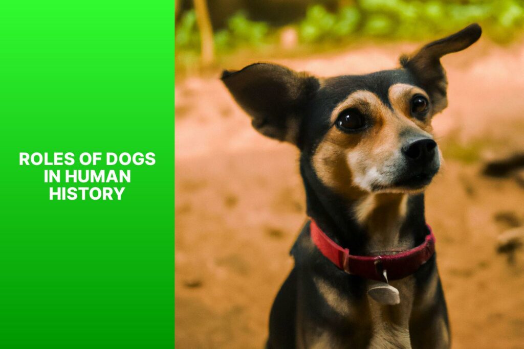 The History of Man's Best Friend How Did Dogs Domesticated
