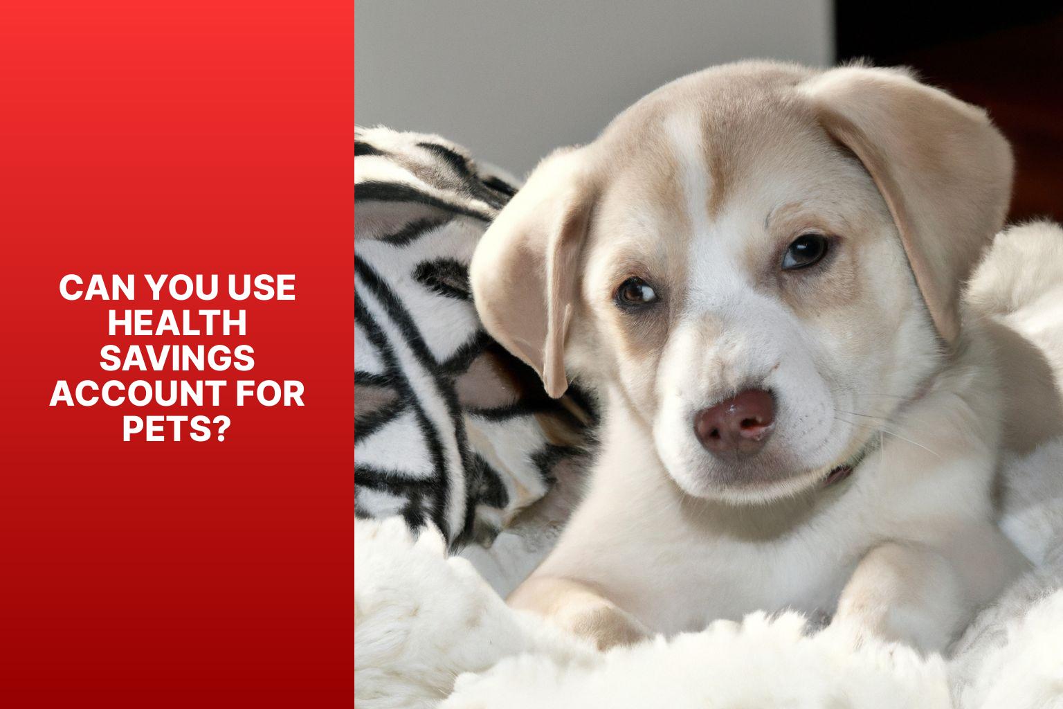 Can You Use Health Savings Account for Pets? - Using Health Savings Account for Pets: Is It Possible? 