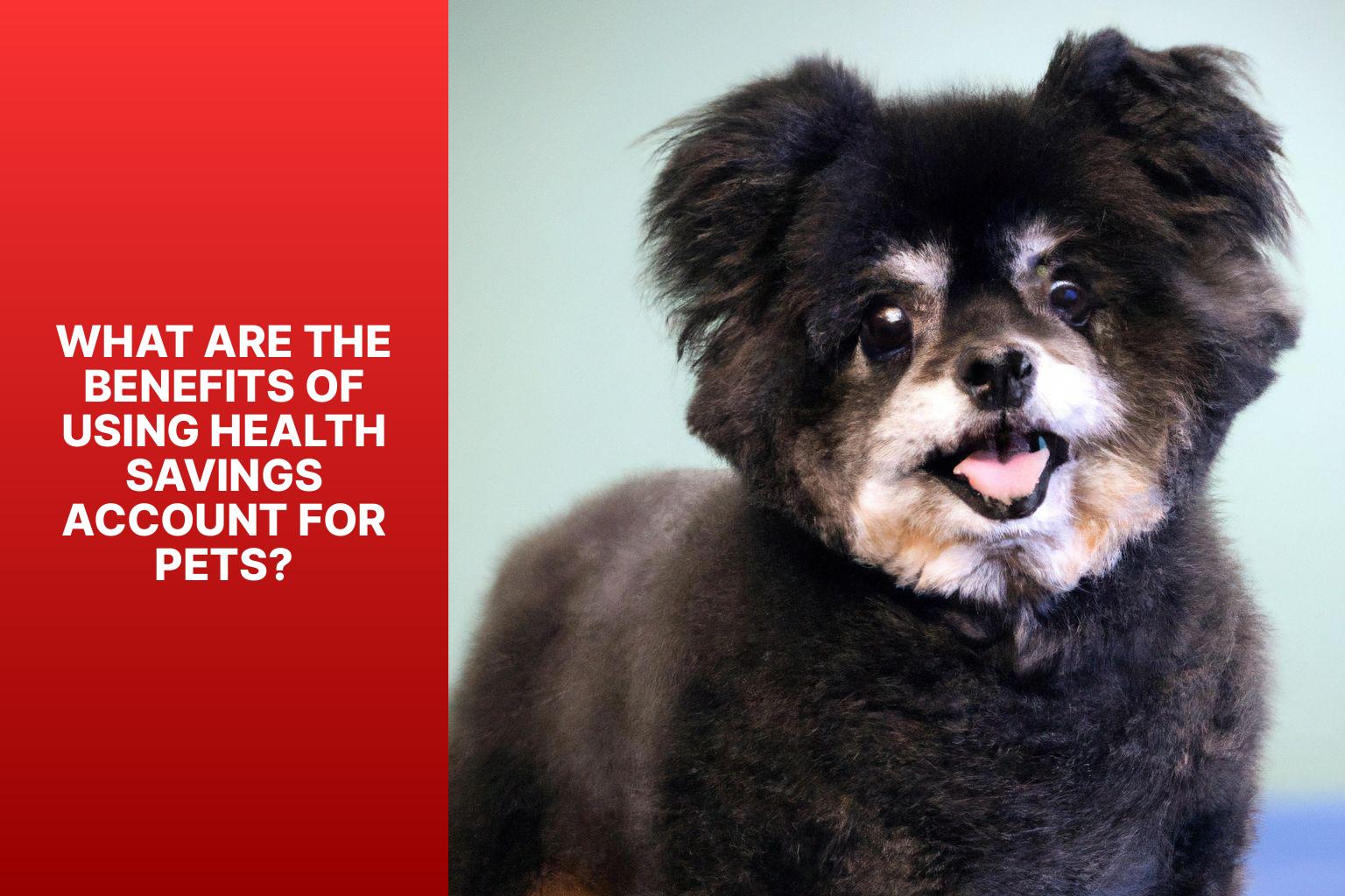 What are the Benefits of Using Health Savings Account for Pets? - Using Health Savings Account for Pets: Is It Possible? 